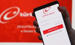 E-Devlet'te bu üç harfi görenlere kötü haber