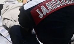 Interpol Bülteniyle Aranıyorlardı, Türkiye’de Yakalandılar
