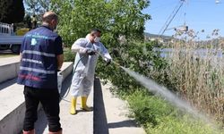 İzmit'te halk sağlığı için yoğun ilaçlama mesaisi