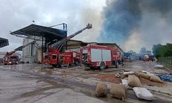 Sakarya’da fındık fabrikasında yangın