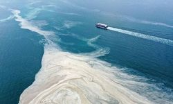 Müsilaj Marmara’ya geri döndü!