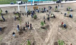 Kocaeli’nde binlerce fidan toprakla buluştu