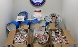Yalova’da Uyuşturucu Operasyonu!