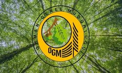 OGM: Orman yangını riski yükseldi, dikkatli olalım!