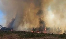 Çanakkale Merkez’de orman yangını