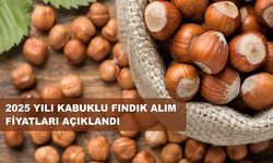 Fındık Taban Fiyatı Açıklandı; Fiyat 195 Lira...