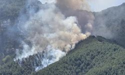 Bolu'da orman yangınına havadan ve karadan müdahale