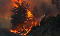 Çanakkale’de orman yangınına müdahale sürüyor