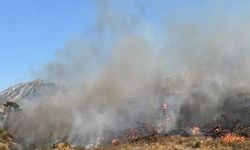 Şırnak’ta Bestler Dereler bölgesinde orman ve örtü yangını