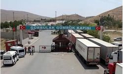 Yerli Plakalı Taşıtların Gümrük İşlemleri Dijitalleşiyor