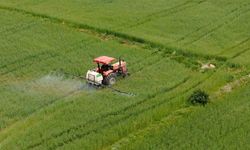 Tarımsal destek ödemesi hesaplara yatıyor