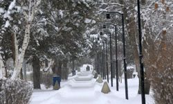 Erzurum eksi 30,3 dereceyle Türkiye’nin en soğuk şehri  oldu