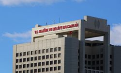 Vergi Denetim Kurulu 250 müfettiş yardımcısı alacak