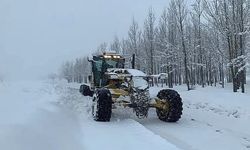 Erzurum'da aşırı kar yağışı ve tipi ulaşımı felç etti