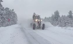 Doğu Anadolu’da kar nedeniyle 5 ilde 147 yerleşim yerine ulaşım kesildi