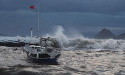 Kaş’ta şiddetli fırtınada nedeniyle Ağaçlar devrildi, okul çatısı zarar gördü