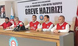 Birleşik Metal-İş 30 Ocak’ta 9 fabrikada greve gidiyor