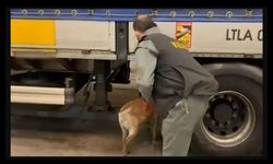 Türkiye genelinde uyuşturucu operasyonu: 1699 gözaltı