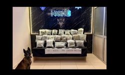 Edirne, Hamzabeyli'de 22,5 kilo skunk ele geçirdi