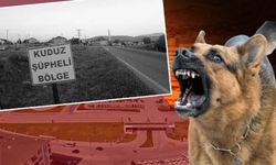 Hatay’ da Kuduz Alarmı