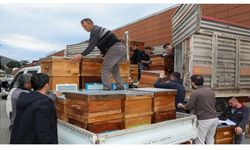 Bursa'da arıcılık Büyükşehir'le canlandı