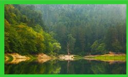 Milli parklar ve doğa korumada Kanun teklifi TBMM'de kabul edildi