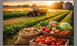 Çiftçilere destek ödemesi bugün hesaplara yatacak