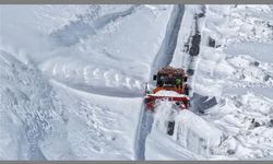 Bahar Van'a gelemedi! Karla mücadele sürüyor