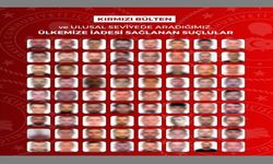 32'si uluslararası 72 kaçak suçlu Türkiye’ye iade edildi