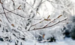 Meteoroloji’den 6 İl İçin “Sarı” Kodlu Uyarı: Kar ve Sağanak Kapıda