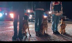 İstanbul’da Suç Örgütüne Büyük Operasyon 21 Şüpheli Tutuklandı