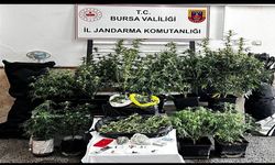Bursa’da Uyuşturucu Operasyonu: İklimlendirme Sistemi ve Kilo Bazında Esrar Ele Geçirildi