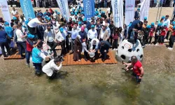 “Yaşamın İzinde: Deniz Yuvaları Projesi” Darıca Sahili’nde Büyüyor