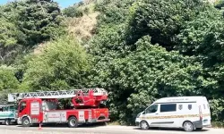 Hatay'da ağaca asılı ceset