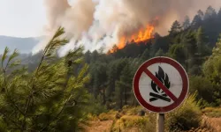 Marmaris’te yangına havadan ve denizden yoğun müdahale