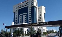 Taklit Ve Tağşiş Listesine 53 Yeni Ürün Eklendi