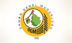 Orman Genel Müdürlüğü 12 Müfettiş Yardımcısı Alacak