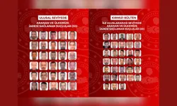 Yurt dışına firar eden 63 suçlu Türkiye’ye iade edildi