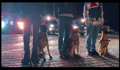 İstanbul’da Suç Örgütüne Büyük Operasyon 21 Şüpheli Tutuklandı