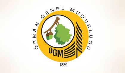 Orman Genel Müdürlüğü 12 Müfettiş Yardımcısı Alacak