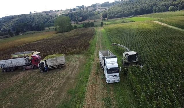 Büyükşehir destekledi, üreticinin yüzü güldü