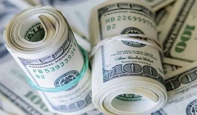Merkez Bankası rezervleri rekor kırdı