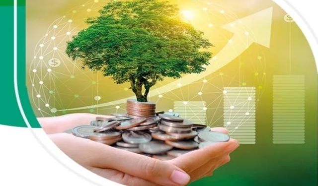 Bankalara Sürdürülebilirlik Şartı: Yeşil Varlık Oranı Hesaplanacak