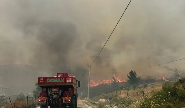 Türkiye'de orman yangınlarında 17 şüpheli gözaltında