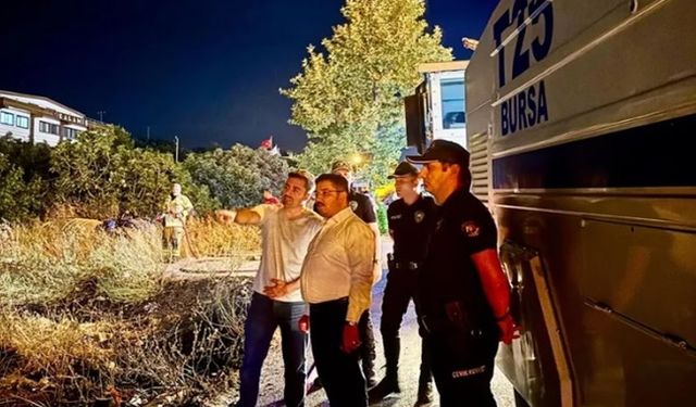 Mudanya Yolu’ndaki yangın kontrol altına alındı! 4 dönüm alan zarar gördü
