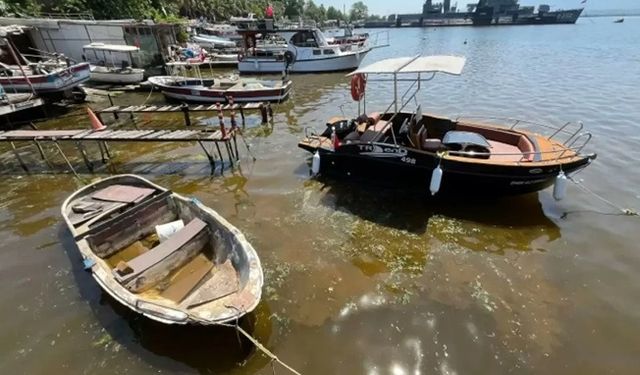 Deniz kahverengiye döndü! Uzmanlar İzmit Körfezi’ni inceliyor