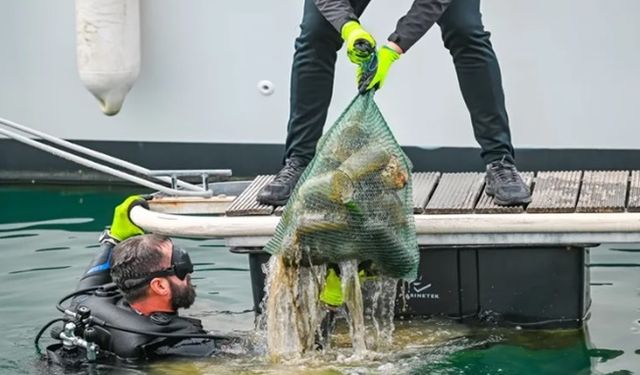 5 ton çöp toplandı, güneş enerjisi kullanımı arttı