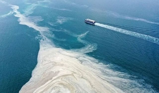 Marmara Denizi’nde müsilaj alarmı