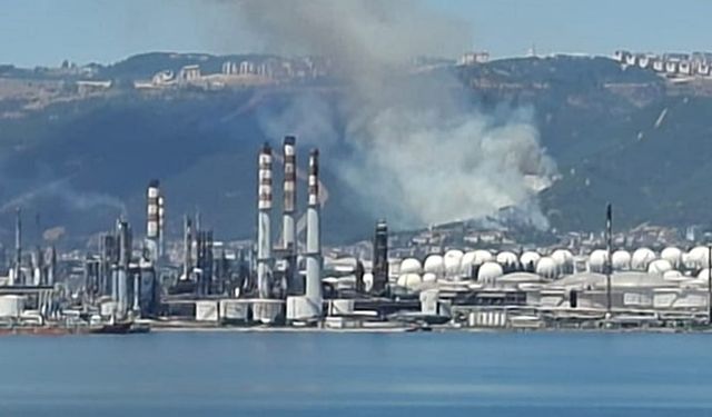 Kocaeli'nin Körfez ilçesinde orman yangını çıktı!