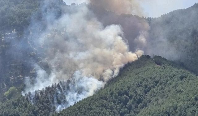 Beş ilde orman yangını: Ekipler havadan ve karadan müdahale ediyor